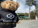 KryptoBear in front of Mount Olympus