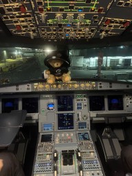KryptoBear as a flight captain.